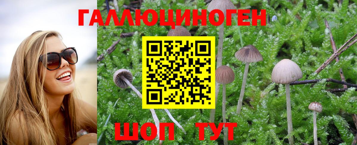 Псилоцибиновые грибы MAGIC MUSHROOMS Новокузнецк