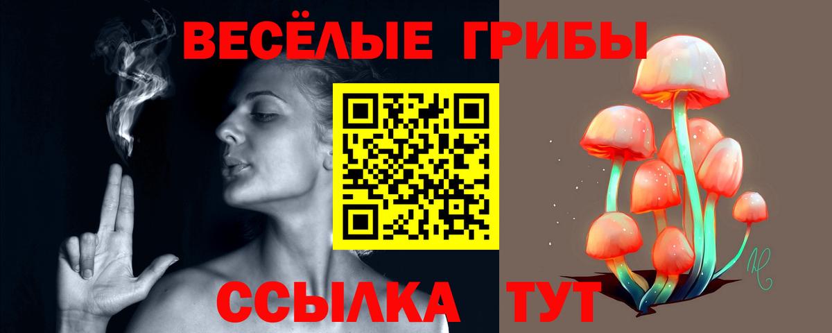 Новокузнецк  Псилоцибиновые грибы мухоморы  Вход с VPN 