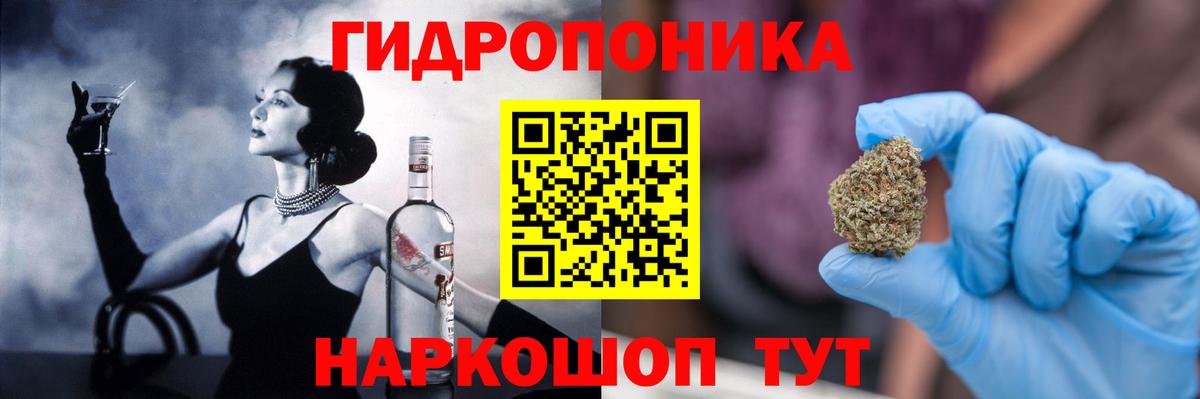 Бошки Шишки план Новокузнецк